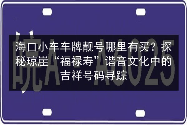 海口小车车牌靓号哪里有买?探秘琼崖“福禄寿”谐音文化中的吉祥号码寻踪 第2张 海口小车车牌靓号哪里有买?探秘琼崖“福禄寿”谐音文化中的吉祥号码寻踪 第2张