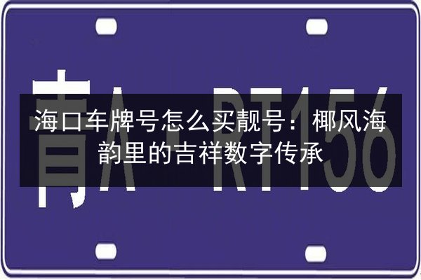 海口车牌号怎么买靓号：椰风海韵里的吉祥数字传承 第2张