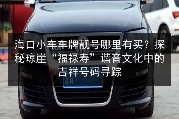 海口小车车牌靓号哪里有买?探秘琼崖“福禄寿”谐音文化中的吉祥号码寻踪 第3张 海口小车车牌靓号哪里有买?探秘琼崖“福禄寿”谐音文化中的吉祥号码寻踪 第3张