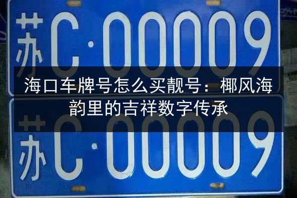 海口车牌号怎么买靓号：椰风海韵里的吉祥数字传承 第3张