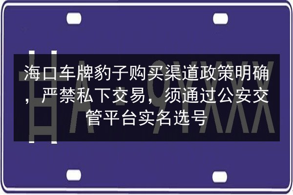 海口车牌豹子购买渠道政策明确，严禁私下交易，须通过公安交管平台实名选号 第2张