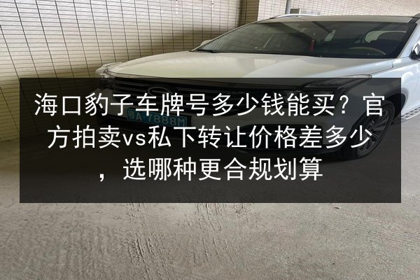海口豹子车牌号多少钱能买?官方拍卖vs私下转让价格差多少,选哪种更合规划算 第3张 海口豹子车牌号多少钱能买?官方拍卖vs私下转让价格差多少,选哪种更合规划算 第3张