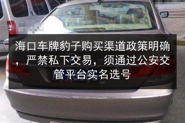 海口车牌豹子购买渠道政策明确，严禁私下交易，须通过公安交管平台实名选号 第3张