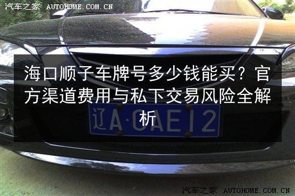 海口顺子车牌号多少钱能买？官方渠道费用与私下交易风险全解析 第2张