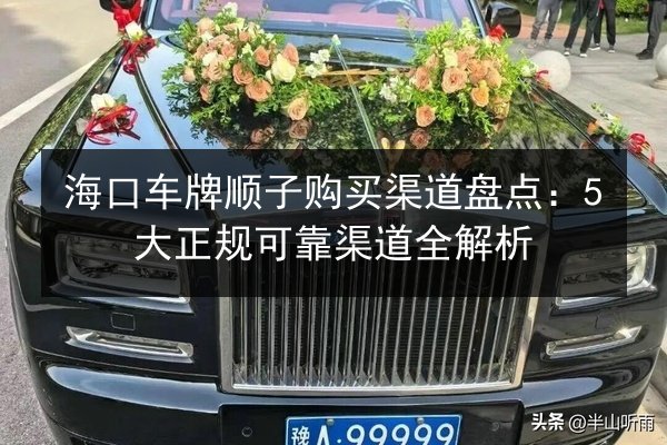 海口车牌顺子购买渠道盘点:5大正规可靠渠道全解析 第2张 海口车牌顺子购买渠道盘点:5大正规可靠渠道全解析 第2张