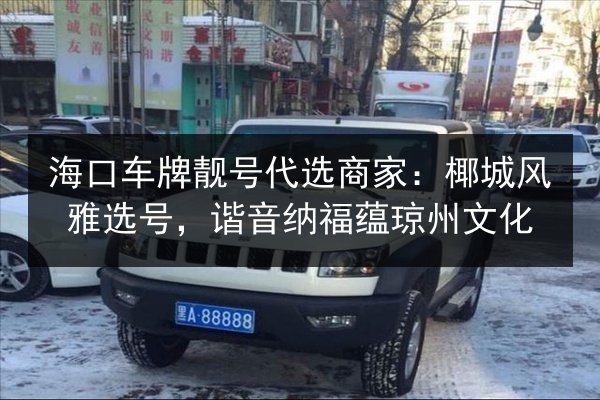 海口车牌靓号代选商家:椰城风雅选号,谐音纳福蕴琼州文化 第2张 海口车牌靓号代选商家:椰城风雅选号,谐音纳福蕴琼州文化 第2张