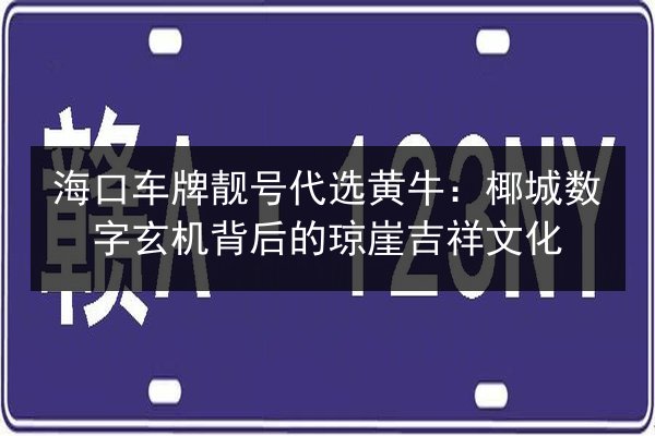 海口车牌靓号代选黄牛：椰城数字玄机背后的琼崖吉祥文化 第2张