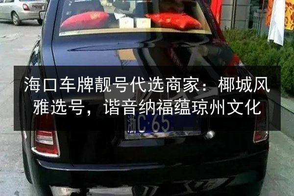 海口车牌靓号代选商家:椰城风雅选号,谐音纳福蕴琼州文化 第3张 海口车牌靓号代选商家:椰城风雅选号,谐音纳福蕴琼州文化 第3张