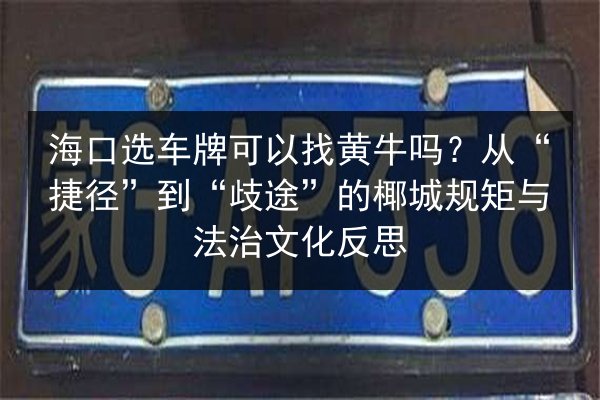 海口选车牌可以找黄牛吗?从“捷径”到“歧途”的椰城规矩与法治文化反思 第2张 海口选车牌可以找黄牛吗?从“捷径”到“歧途”的椰城规矩与法治文化反思 第2张