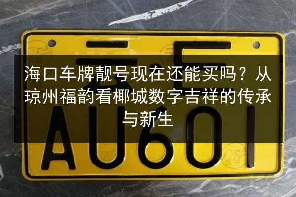 海口车牌靓号现在还能买吗?从琼州福韵看椰城数字吉祥的传承与新生 第2张 海口车牌靓号现在还能买吗?从琼州福韵看椰城数字吉祥的传承与新生 第2张