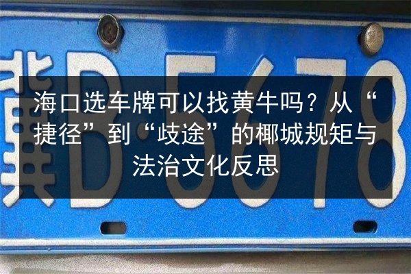 海口选车牌可以找黄牛吗?从“捷径”到“歧途”的椰城规矩与法治文化反思 第3张 海口选车牌可以找黄牛吗?从“捷径”到“歧途”的椰城规矩与法治文化反思 第3张