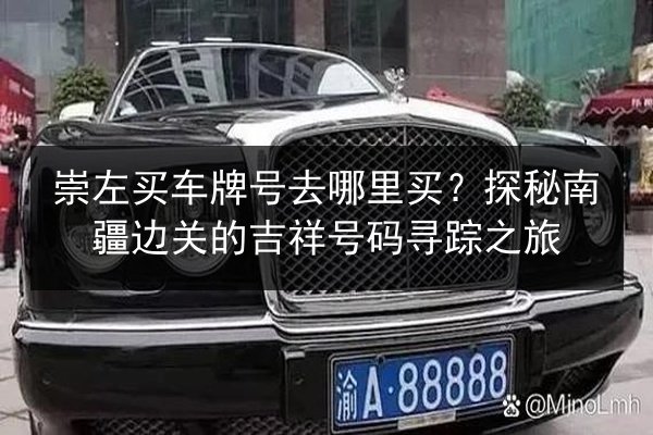 崇左买车牌号去哪里买？探秘南疆边关的吉祥号码寻踪之旅 第2张