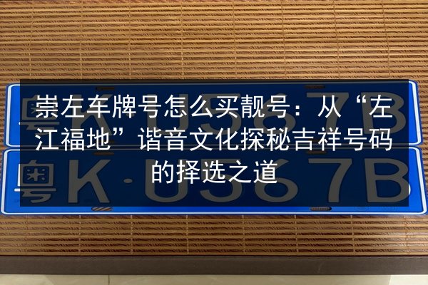 崇左车牌号怎么买靓号：从“左江福地”谐音文化探秘吉祥号码的择选之道 第2张