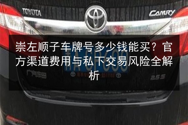 崇左顺子车牌号多少钱能买？官方渠道费用与私下交易风险全解析 第2张