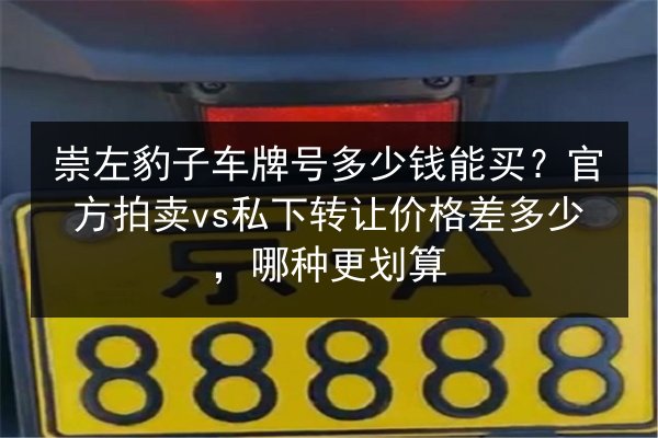 崇左豹子车牌号多少钱能买？官方拍卖vs私下转让价格差多少，哪种更划算 第2张