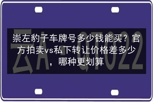 崇左豹子车牌号多少钱能买？官方拍卖vs私下转让价格差多少，哪种更划算 第3张