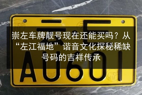 崇左车牌靓号现在还能买吗？从“左江福地”谐音文化探秘稀缺号码的吉祥传承 第2张