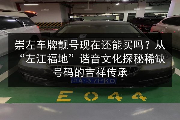崇左车牌靓号现在还能买吗？从“左江福地”谐音文化探秘稀缺号码的吉祥传承 第3张