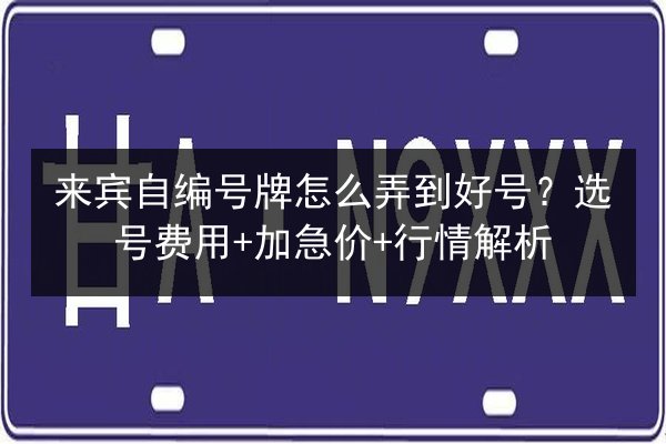 来宾自编号牌怎么弄到好号?选号费用+加急价+行情解析 第2张 来宾自编号牌怎么弄到好号?选号费用+加急价+行情解析 第2张