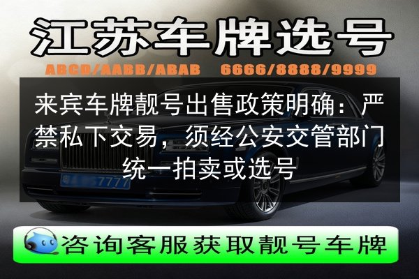 来宾车牌靓号出售政策明确:严禁私下交易,须经公安交管部门统一拍卖或选号 第2张 来宾车牌靓号出售政策明确:严禁私下交易,须经公安交管部门统一拍卖或选号 第2张