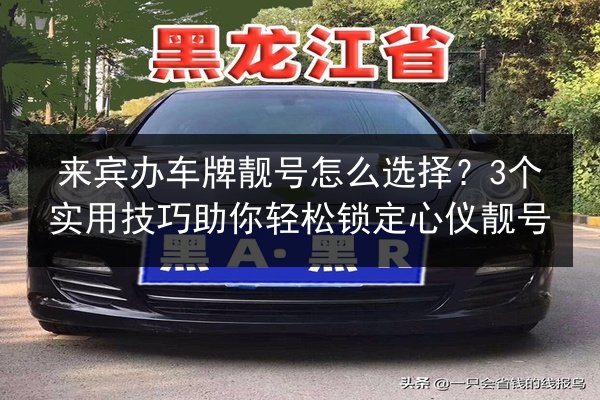 来宾办车牌靓号怎么选择?3个实用技巧助你轻松锁定心仪靓号 第2张 来宾办车牌靓号怎么选择?3个实用技巧助你轻松锁定心仪靓号 第2张