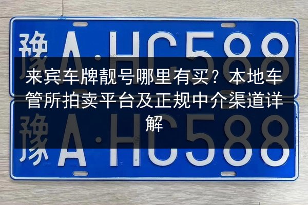 来宾车牌靓号哪里有买?本地车管所拍卖平台及正规中介渠道详解 第2张 来宾车牌靓号哪里有买?本地车管所拍卖平台及正规中介渠道详解 第2张