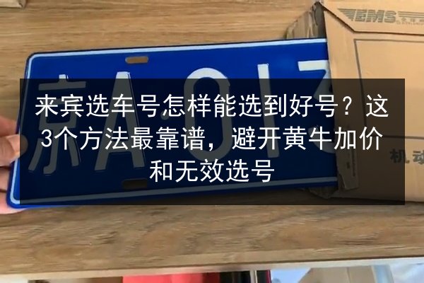 来宾选车号怎样能选到好号?这3个方法最靠谱,避开黄牛加价和无效选号 第3张 来宾选车号怎样能选到好号?这3个方法最靠谱,避开黄牛加价和无效选号 第3张