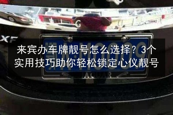 来宾办车牌靓号怎么选择?3个实用技巧助你轻松锁定心仪靓号 第3张 来宾办车牌靓号怎么选择?3个实用技巧助你轻松锁定心仪靓号 第3张