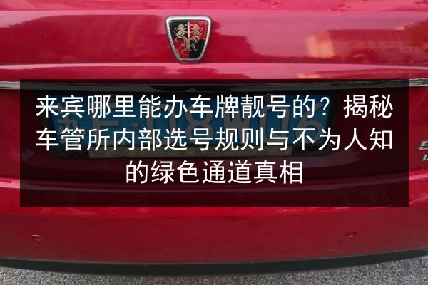 来宾哪里能办车牌靓号的？揭秘车管所内部选号规则与不为人知的绿色通道真相 第3张