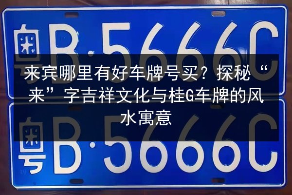 来宾哪里有好车牌号买？探秘“来”字吉祥文化与桂G车牌的风水寓意 第2张