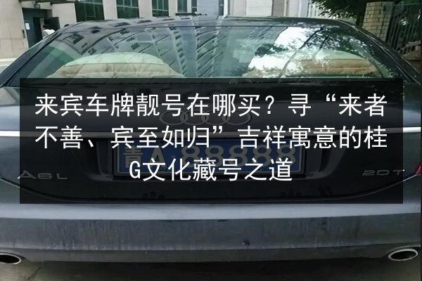 来宾车牌靓号在哪买？寻“来者不善、宾至如归”吉祥寓意的桂G文化藏号之道 第2张