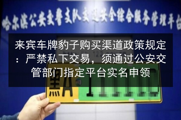 来宾车牌豹子购买渠道政策规定：严禁私下交易，须通过公安交管部门指定平台实名申领 第2张