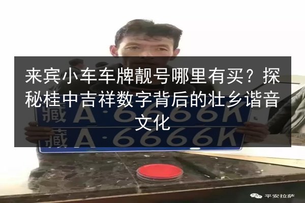 来宾小车车牌靓号哪里有买?探秘桂中吉祥数字背后的壮乡谐音文化 第2张 来宾小车车牌靓号哪里有买?探秘桂中吉祥数字背后的壮乡谐音文化 第2张