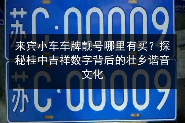 来宾小车车牌靓号哪里有买?探秘桂中吉祥数字背后的壮乡谐音文化 第3张 来宾小车车牌靓号哪里有买?探秘桂中吉祥数字背后的壮乡谐音文化 第3张
