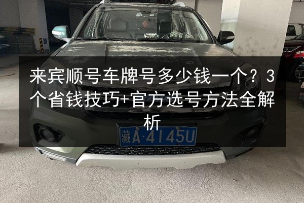 来宾顺号车牌号多少钱一个?3个省钱技巧+官方选号方法全解析 第3张 来宾顺号车牌号多少钱一个?3个省钱技巧+官方选号方法全解析 第3张