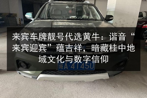 来宾车牌靓号代选黄牛:谐音“来宾迎宾”蕴吉祥,暗藏桂中地域文化与数字信仰 第3张 来宾车牌靓号代选黄牛:谐音“来宾迎宾”蕴吉祥,暗藏桂中地域文化与数字信仰 第3张