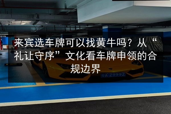 来宾选车牌可以找黄牛吗?从“礼让守序”文化看车牌申领的合规边界 第2张 来宾选车牌可以找黄牛吗?从“礼让守序”文化看车牌申领的合规边界 第2张