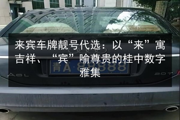 来宾车牌靓号代选：以“来”寓吉祥、“宾”喻尊贵的桂中数字雅集 第2张
