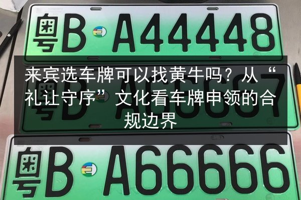 来宾选车牌可以找黄牛吗?从“礼让守序”文化看车牌申领的合规边界 第3张 来宾选车牌可以找黄牛吗?从“礼让守序”文化看车牌申领的合规边界 第3张
