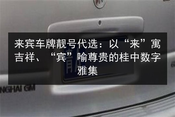 来宾车牌靓号代选：以“来”寓吉祥、“宾”喻尊贵的桂中数字雅集 第3张