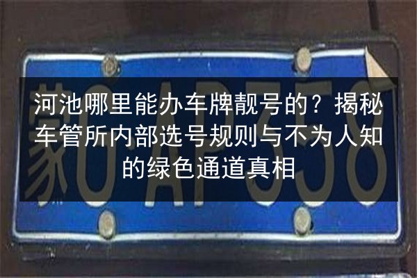 河池哪里能办车牌靓号的？揭秘车管所内部选号规则与不为人知的绿色通道真相 第2张