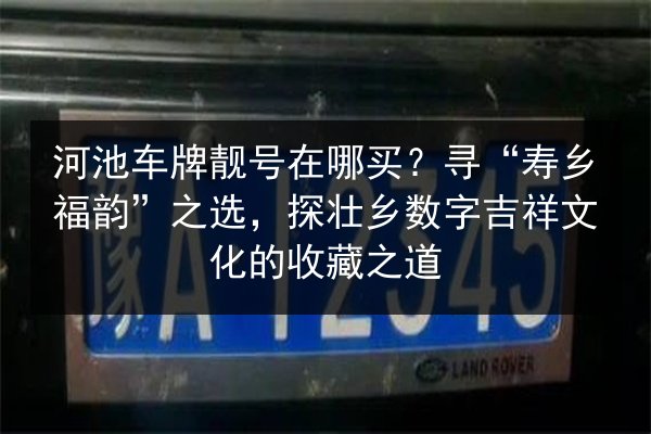 河池车牌靓号在哪买？寻“寿乡福韵”之选，探壮乡数字吉祥文化的收藏之道