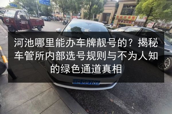 河池哪里能办车牌靓号的？揭秘车管所内部选号规则与不为人知的绿色通道真相 第3张