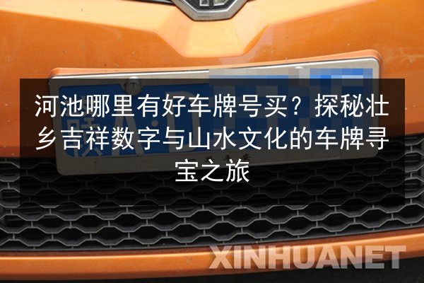 河池哪里有好车牌号买？探秘壮乡吉祥数字与山水文化的车牌寻宝之旅 第3张