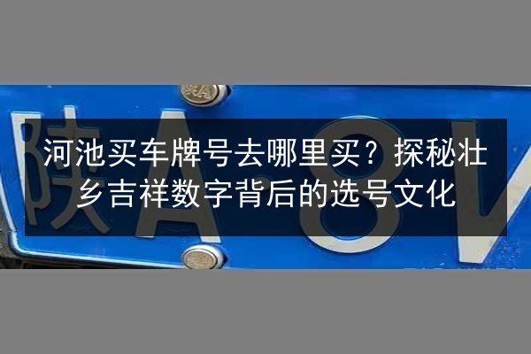 河池买车牌号去哪里买？探秘壮乡吉祥数字背后的选号文化 第2张