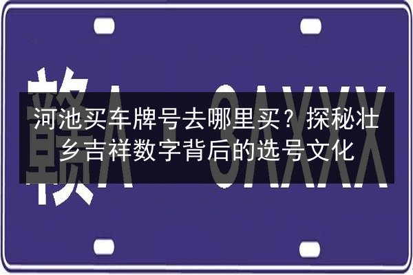 河池买车牌号去哪里买？探秘壮乡吉祥数字背后的选号文化 第3张