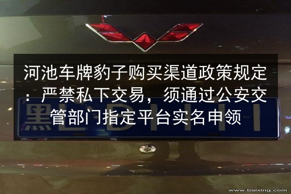 河池车牌豹子购买渠道政策规定：严禁私下交易，须通过公安交管部门指定平台实名申领 第2张