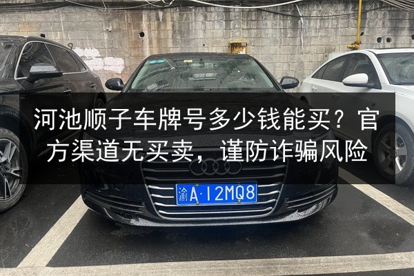 河池顺子车牌号多少钱能买?官方渠道无买卖,谨防诈骗风险 第2张 河池顺子车牌号多少钱能买?官方渠道无买卖,谨防诈骗风险 第2张