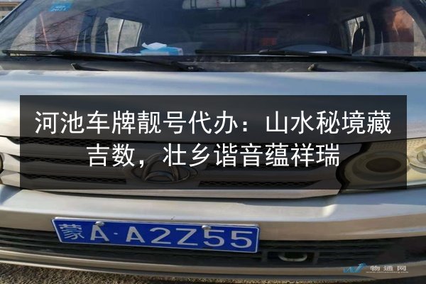 河池车牌靓号代办：山水秘境藏吉数，壮乡谐音蕴祥瑞 第3张