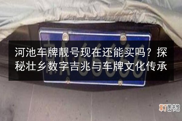 河池车牌靓号现在还能买吗？探秘壮乡数字吉兆与车牌文化传承 第2张